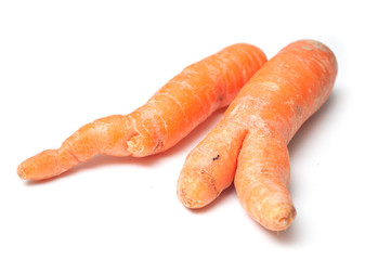 closeup of deformed carrots on white background