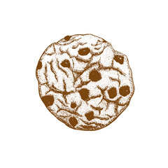 Colored Chocolate Chip Cookie in Hand Drawn Style