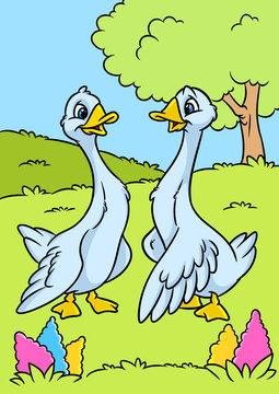 Two geese birds farm nature background cartoon illustration 