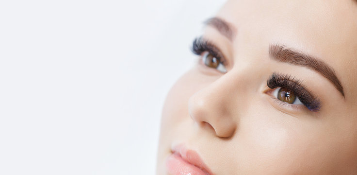 Close up view of beautiful brown female eye with long eyelashes, smooth healthy skin. Eyelash extension procedure. Perfect trendy eyebrows. Good vision, contact lenses. Eye health and care. 