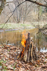 Bonfire on the bank of a forest river under an oak tree