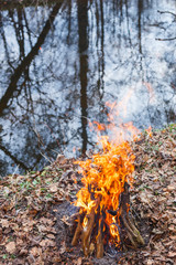 Bonfire on the bank of a forest river in the evening