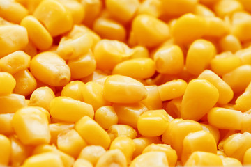 Golden canned corn, as distributed on a plane background and texture of popcorn. Before watching a movie top view. Close-up