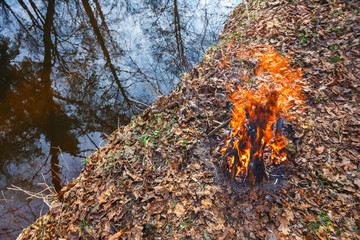 Evening bonfire on the bank of a forest stream