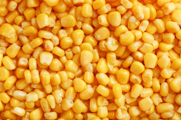 Golden canned corn, as distributed on a plane background and texture of popcorn. Before watching a movie top view. Close-up