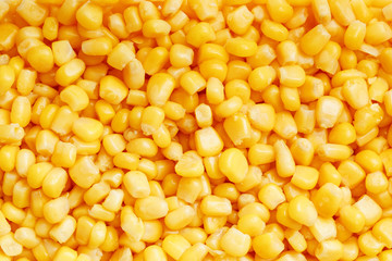 Golden canned corn, as distributed on a plane background and texture of popcorn. Before watching a movie top view. Close-up
