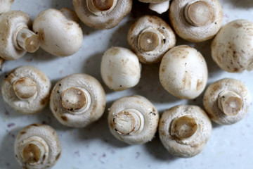 Fototapeta na wymiar Champignon mushrooms on marble background. Top view, selective focus.