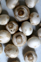 Champignon mushrooms on marble background. Top view, selective focus.