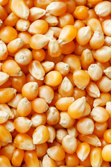 Golden corn seeds, background and texture of popcorn. Before watching a movie top view. Close-up