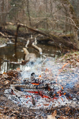 Bonfire by the water in the forest