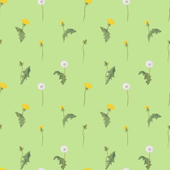 seamless pattern with flowers dandelion