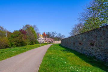 Elberadweg in Magdeburg