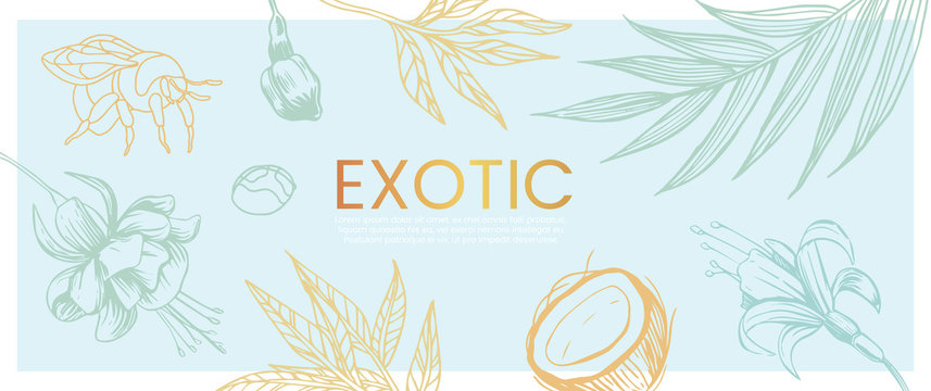 Vector hand drawn banner with exotic and tropic plants, flowers and coconut that can also be used as flyer, wedding invitation and landing page.