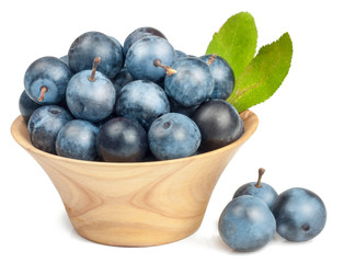 The fruits of blackthorns in a cup isolated on white