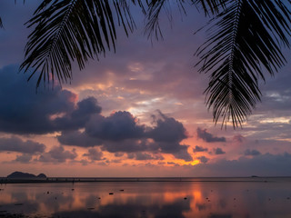 Fototapeta na wymiar Silhouette of palm trees at sunset and multicolored clouds. Koh Phangan Thailand