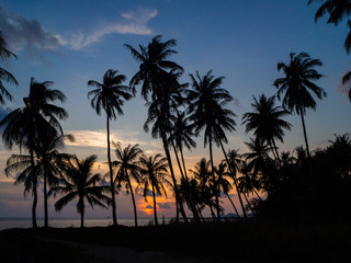 Fototapeta na wymiar Silhouette of palm trees at sunset and multicolored clouds. Koh Phangan Thailand