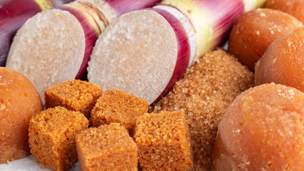 Sugarcane, and derivatives of brown sugar and panela from Colombia
