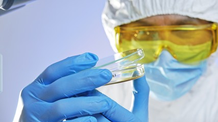 Microbiologist looks and opens Petri dish with bacteria.