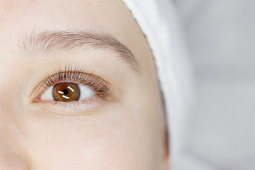 Close up view of beautiful female eye with long natural lashes. Eyelash extension procedure....