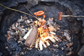 Toasting sausages over a fire