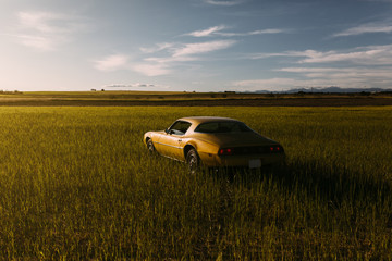 Old yellow sport classic car parked in the countryside