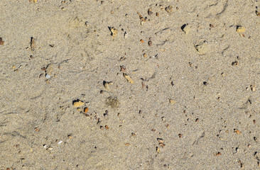 Background from construction sand