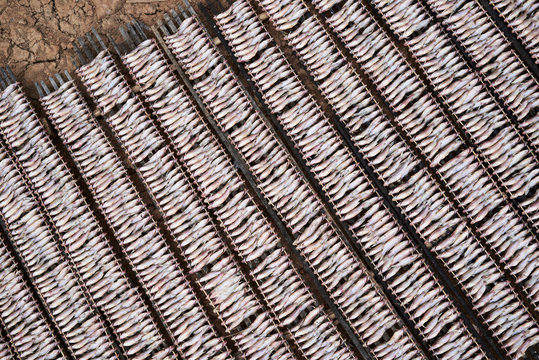 From above view of lots of fresh fish in trays.