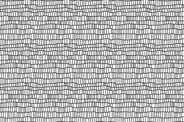 Dynamic digital seamless unique creative black and white mesh texture pattern, abstract background. Design element..