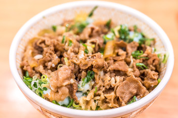 Gyudon or strip beefs with a lots of onion leeks and topped with fresh egg yolk
