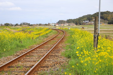 日本の千葉県いすみ市のいすみ鉄道