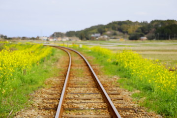 Fototapeta na wymiar 日本の千葉県いすみ市のいすみ鉄道