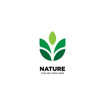Nature logo template, vector illustration - Vector