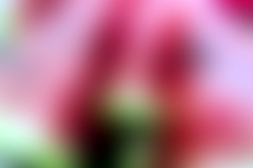 Fototapeta premium smooth wallpaper color blurred background abstract soft graphic