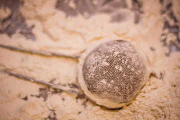 Fototapeta na wymiar Girl chef kneading dough for eclairs. Plum, butter and flour.