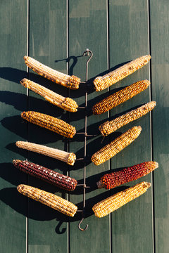 Corn Cob Decoration on Door