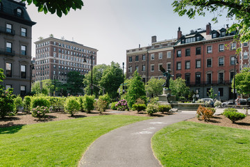 Boston Public Garden in Summer