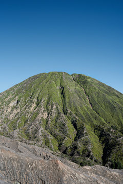 Rocky lava and vegetation landscape view of active volcano Mount Bromo.
