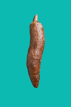 Yucca