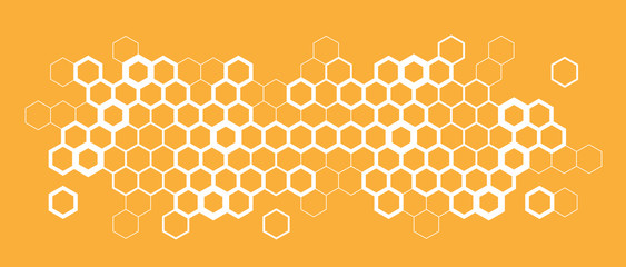 Honeycomb / hexagons