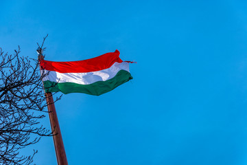 Hungarian flag