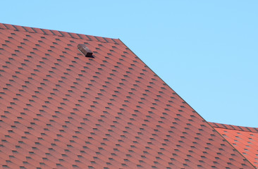 Decorative metal tile on a roof