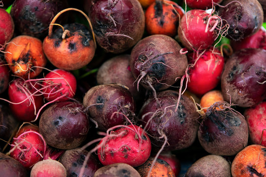 Market: Organic Freshly Picked Beets