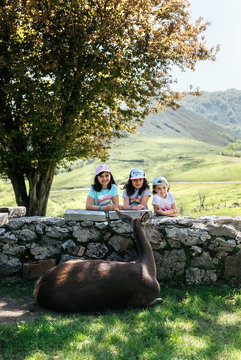 Little girls with a domesticated deer