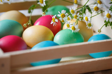 Colorful Easter eggs and chamomile branch