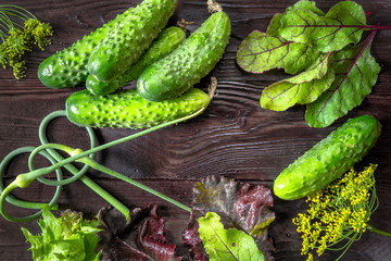 Fresh cucumbers and a set of green parsley, lettuce, garlic on a dark wooden background in a rustic style. Flat top view.