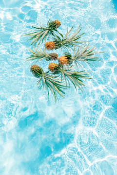 Collection of beautiful pineapples in splashes of water