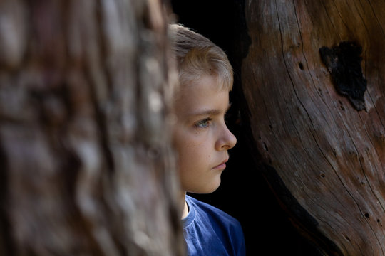 Profile of a boy as he stands in a hollow tree looking out.