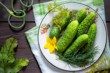 Fresh cucumbers and greens set parsley, lettuce leaves, garlic on a dark wooden background in a rustic style. Flat top view. Long banner
