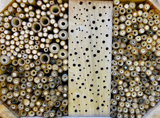 Nehterlands; detail of an insect house