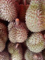 Naklejka na ściany i meble closeup durian fruit of thailand